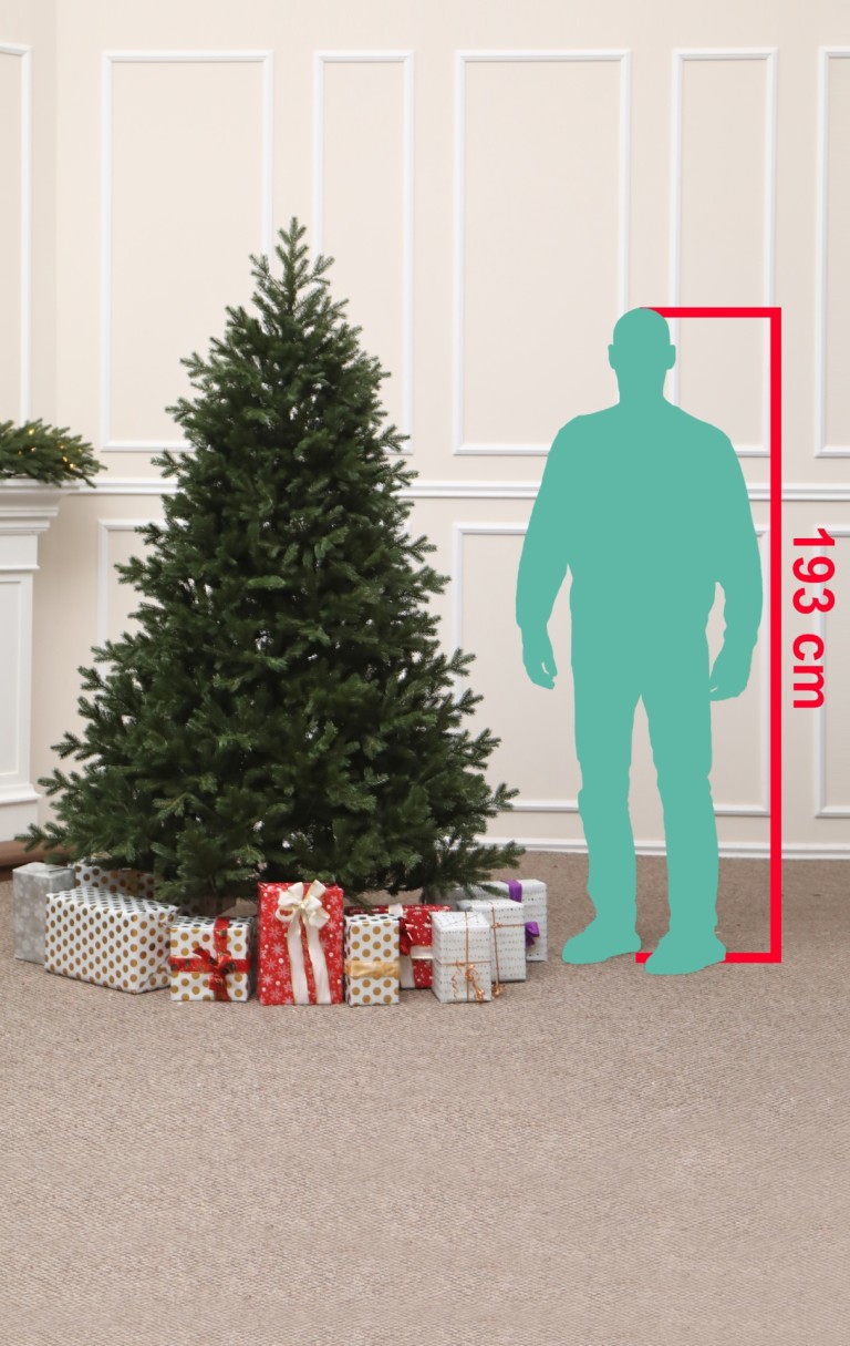 Valóságos méret-Grandis Fir 215 cm