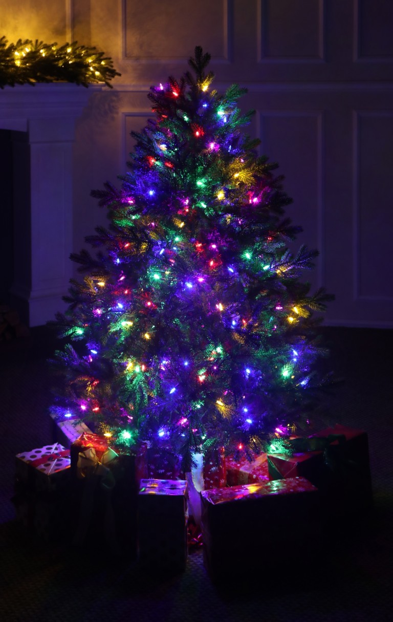 100% 3D műfenyő színes LED világítással-Rocky Mountain Spruce155 cm 