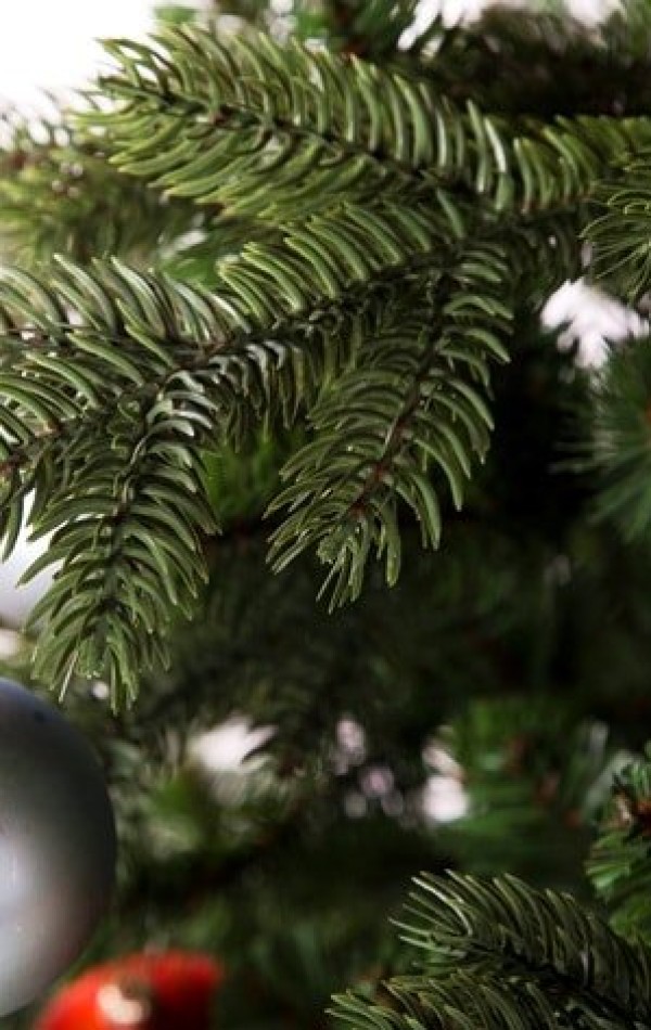  Nottingham Pine 230 cm Műfenyő
