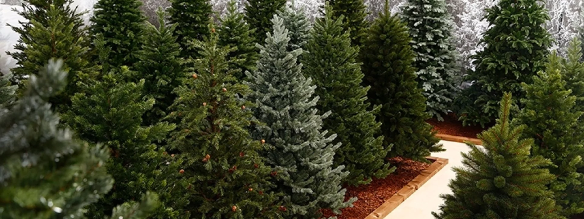 Műfenyők 3D levéllel